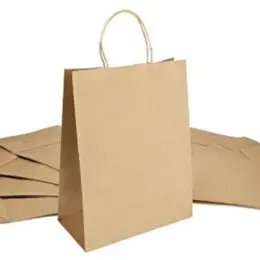 Eco Paper Gift Bag with Twist Handles A3