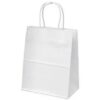 Eco Paper Gift Bag with Twist Handles A3