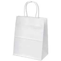 Eco Paper Gift Bag with Twist Handles A3