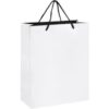 Altitude Dazzle Midi Paper Gift Bag