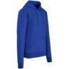 Mens Omega Hooded Sweater