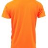 2025/10/OrangeBack-2.jpg Dry Fit 140g
