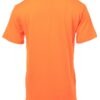 2025/10/OrangeBack-3.jpg Kids Short Sleeve 180g Crew Neck T-Shirt